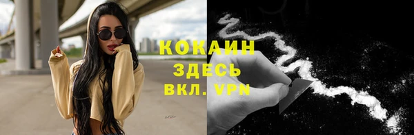 apvp Магадан
