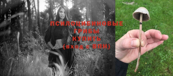 apvp Магадан