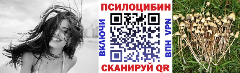 закладка  Терек  Псилоцибиновые грибы ЛСД 